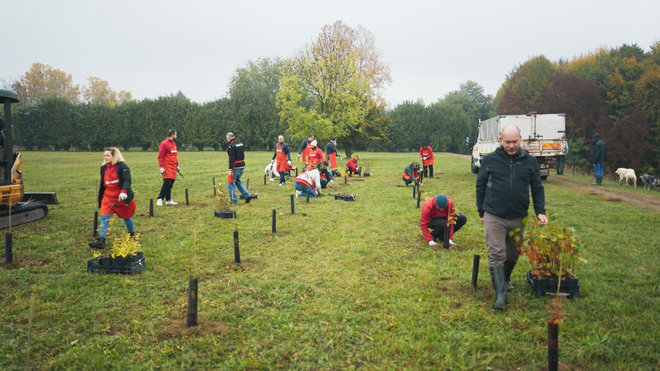 141122 - Torino_Conad_2.17.1.POST.jpg